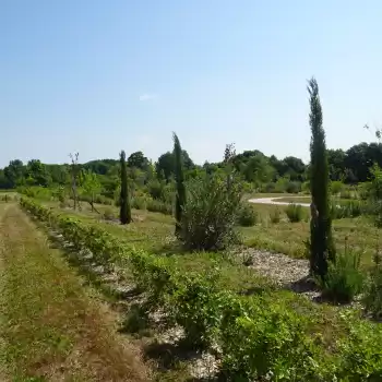 Parc public