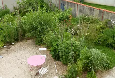 130625_jardin_labo-savart_paysage_experience_vegetale_jardinage_permaculture
