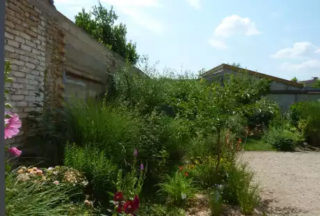 130718_jardin_labo-savart_paysage_experience_vegetale_jardinage_permaculture
