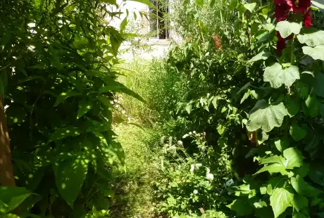 130718_jardin_labo-savart_paysage_experience_vegetale_jardinage_permaculture