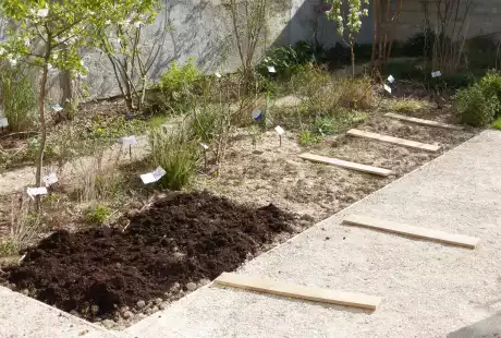 140414_jardin_labo-savart_paysage_experience_vegetale_jardinage_permaculture
