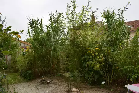 161004_jardin_labo-savart_paysage_experience_vegetale_jardinage_permaculture
