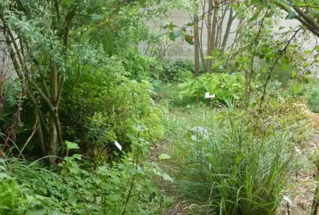 160513_jardin_labo-savart_paysage_experience_vegetale_jardinage_permaculture