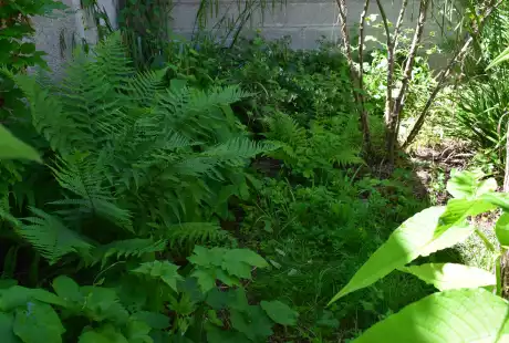 170522_jardin_labo-savart_paysage_experience_vegetale_jardinage_permaculture