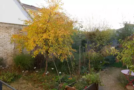 191108_jardin_labo-savart_paysage_experience_vegetale_jardinage_permaculture