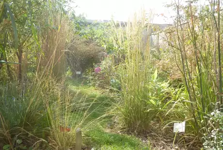120928_jardin_labo-savart_paysage_experience_vegetale_jardinage_permaculture