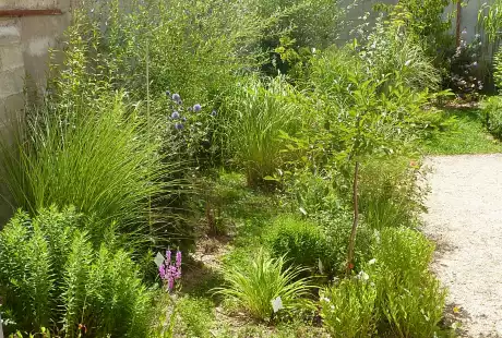 120730_jardin_labo-savart_paysage_experience_vegetale_jardinage_permaculture