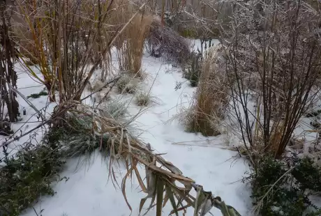 120121_jardin_labo-savart_paysage_experience_vegetale_jardinage_permaculture