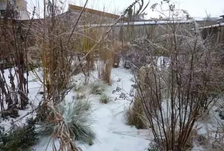 120121_jardin_labo-savart_paysage_experience_vegetale_jardinage_permaculture
