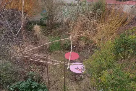 210103jardin_labo-savart_paysage_experience_vegetale_jardinage_permaculture