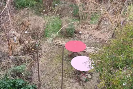 240103_jardin_labo-savart_paysage_experience_vegetale_jardinage_permaculture