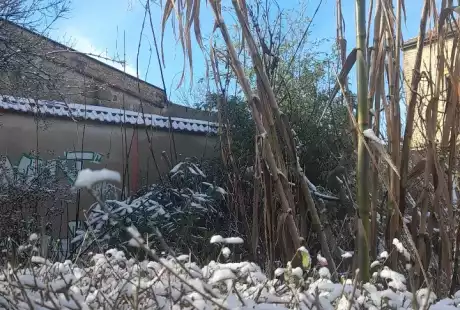 240118_jardin_labo-savart_paysage_experience_vegetale_jardinage_permaculture