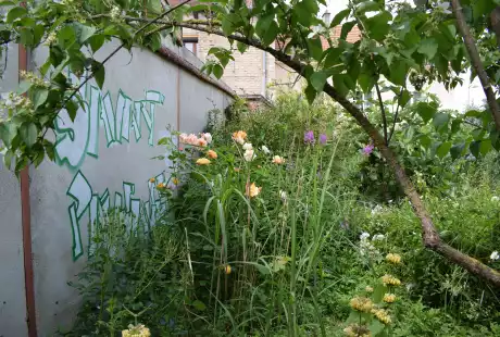 200609_jardin_labo-savart_paysage_experience_vegetale_jardinage_permaculture