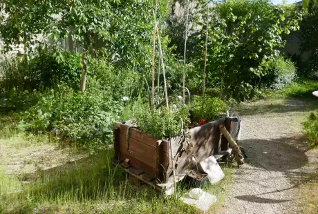 200520_jardin_labo-savart_paysage_experience_vegetale_jardinage_permaculture