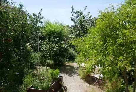 200602_jardin_labo-savart_paysage_experience_vegetale_jardinage_permaculture
