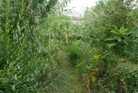 200710_jardin_labo-savart_paysage_experience_vegetale_jardinage_permaculture