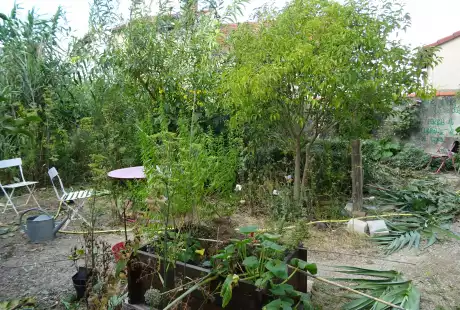 200822_jardin_labo-savart_paysage_experience_vegetale_jardinage_permaculture