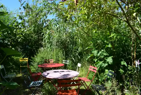 220708_jardin_labo-savart_paysage_experience_vegetale_jardinage_permaculture