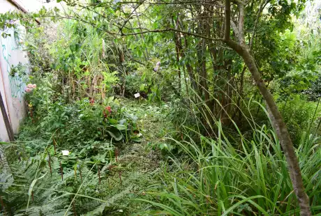210911_jardin_labo-savart_paysage_experience_vegetale_jardinage_permaculture