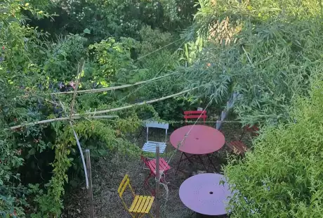 230615_jardin_labo-savart_paysage_experience_vegetale_jardinage_permaculture