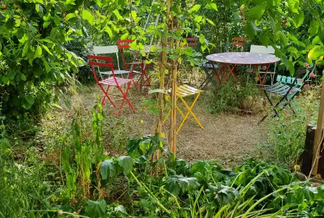 230615_jardin_labo-savart_paysage_experience_vegetale_jardinage_permaculture