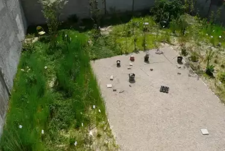 100625_jardin_labo-savart_paysage_experience_vegetale_jardinage_permaculture