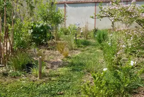 110501_jardin_labo-savart_paysage_experience_vegetale_jardinage_permaculture