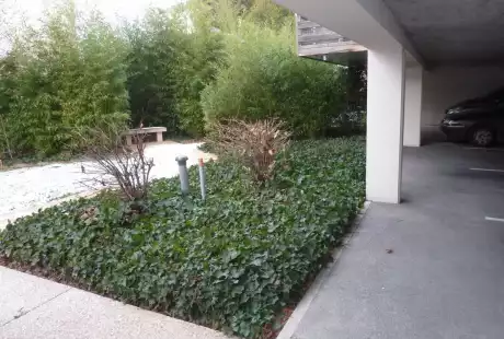 Savart Paysage – Paysagiste urbaniste - Châlons-en-Champagne – Marne – Grand Est – Mohen – jardins privés – espace résidentiel