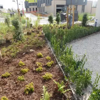 Jardin de l'îlot A3 dans le quartier Réma'Vert