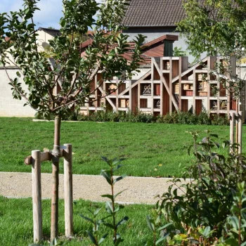 Un jardin comestible et un hôtel à insectes