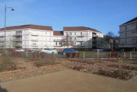 Savart Paysage - paysagiste urbaniste – jardin verger– hôtel à insectes – pommiers – comestibles – Châlons-en-Champagne – petits fruits – agriculture urbaine – variétés anciennes – permaculture – cycle naturel – Vie du sol 