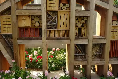 Savart Paysage - paysagiste urbaniste – jardin verger– hôtel à insectes – pommiers – comestibles – Châlons-en-Champagne – petits fruits – agriculture urbaine – variétés anciennes – permaculture – cycle naturel – Vie du sol 
