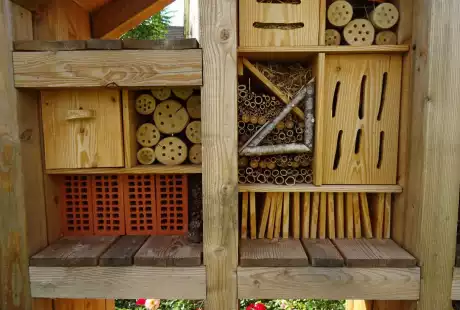 Savart Paysage - paysagiste urbaniste – jardin verger– hôtel à insectes – pommiers – comestibles – Châlons-en-Champagne – petits fruits – agriculture urbaine – variétés anciennes – permaculture – cycle naturel – Vie du sol 