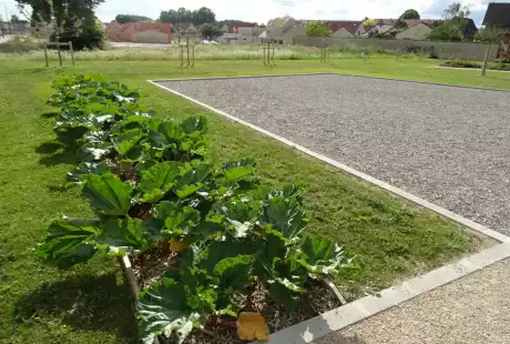 Savart Paysage - paysagiste urbaniste – jardin verger– hôtel à insectes – pommiers – comestibles – Châlons-en-Champagne – petits fruits – agriculture urbaine – variétés anciennes – permaculture – cycle naturel – Vie du sol 