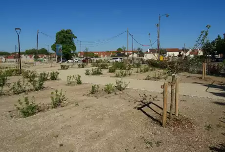 Savart Paysage - paysagiste urbaniste – jardin verger– hôtel à insectes – pommiers – comestibles – Châlons-en-Champagne – petits fruits – agriculture urbaine – variétés anciennes – permaculture – cycle naturel – Vie du sol 