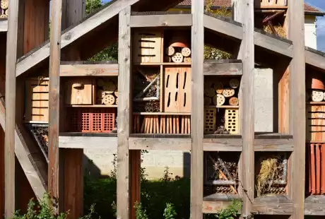 Savart Paysage - paysagiste urbaniste – jardin verger– hôtel à insectes – pommiers – comestibles – Châlons-en-Champagne – petits fruits – agriculture urbaine – variétés anciennes – permaculture – cycle naturel – Vie du sol 