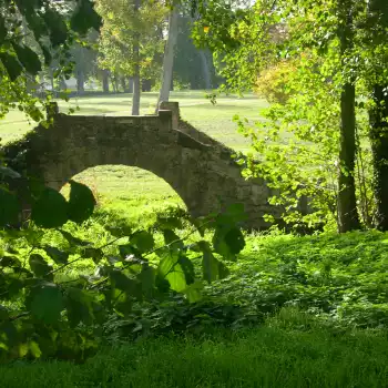 Parc Buirette