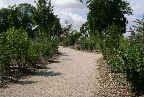 Savart paysage - paysagiste urbaniste - Suippes – Marne – Grand Est – Parc Buirette - parc historique- parc public – développement durable – biodiversité