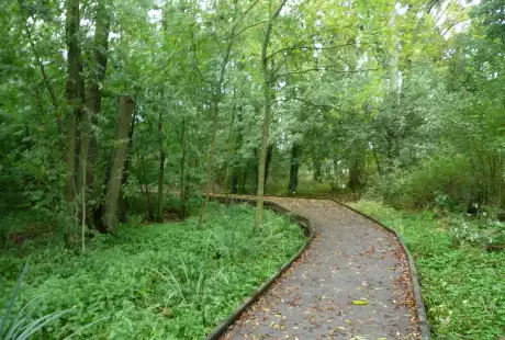 Savart paysage - paysagiste urbaniste - Suippes – Marne – Grand Est – Parc Buirette - parc historique- parc public – développement durable – biodiversité