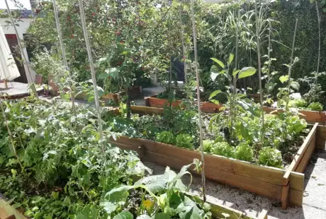 Savart Paysage - paysagiste urbaniste – permaculture – agriculture urbaine – jardin privé – potager – vie du sol – Châlons-en-Champagne – Marne – Grand Est