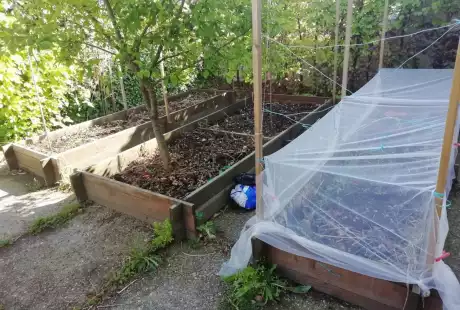 Savart Paysage - paysagiste urbaniste – permaculture – agriculture urbaine – jardin privé – potager – vie du sol – Châlons-en-Champagne – Marne – Grand Est