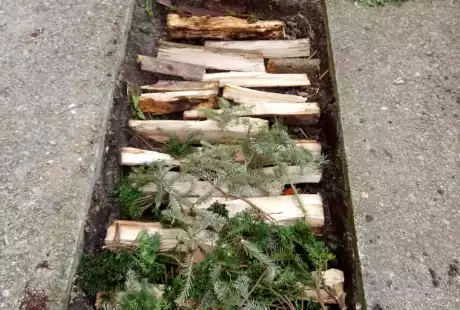 Savart Paysage - paysagiste urbaniste – permaculture – agriculture urbaine – jardin privé – potager – vie du sol – Châlons-en-Champagne – Marne – Grand Est