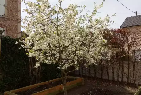 Savart Paysage - paysagiste urbaniste – permaculture – agriculture urbaine – jardin privé – potager – vie du sol – Châlons-en-Champagne – Marne – Grand Est
