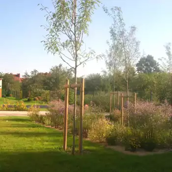 Jardins de la maison de la petite enfance