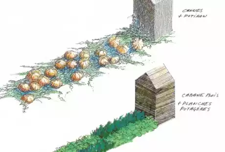 Savart paysage - paysagiste urbaniste – Chaumont-sur-Loire –Loir-et-cher- Centre-Val de Loire – Festival International des jardins - Les trois Cabanes – petit espace- parc public –développement durable – biodiversité- potager