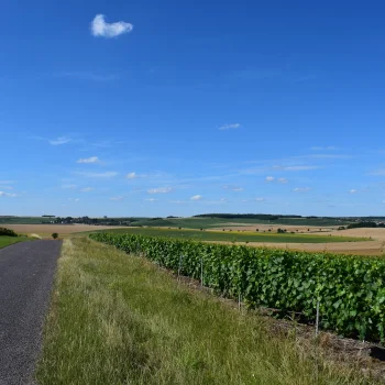 Éolien : Volet paysager de l'étude d'impact - 9 éoliennes