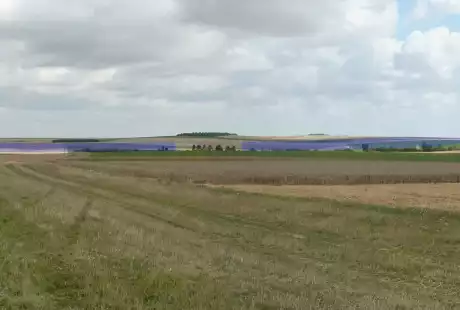 Savart Paysage - paysagiste urbaniste – étude d’impact – éoliennes – permis de construire – Marne – Grand Est