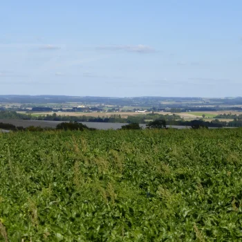 Projet éolien dans la Champagne Crayeuse
