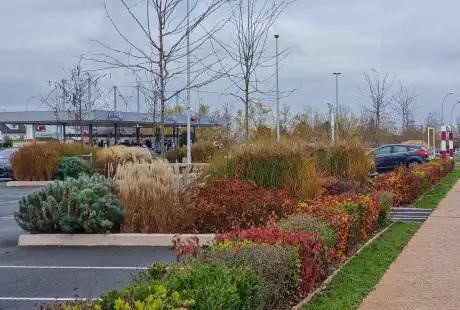 Savart Paysage – paysagiste urbaniste – urbaniste - paysagiste marne - paysagiste urbaniste marne - zone commerciale - paysagiste concepteur marne - parking – aménagement paysager parking - biodiversité – cycle naturel – perméabilité – ilot de fraîcheur -