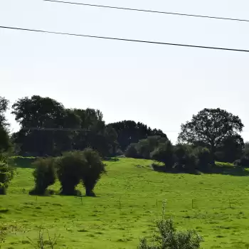 Éolien : Volet paysager de l'étude d'impact - Projet éolien